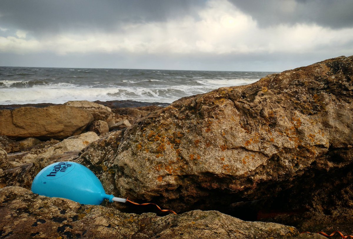 Markthebirder's tweet photo. Here in #Filey, we're miles from a @McDonalds - but never far enough. Not such a Happy Meal for a Fulmar, Seal or Gannet #2minutebeachclean #imhatinit https://t.co/aQes1GhJzX