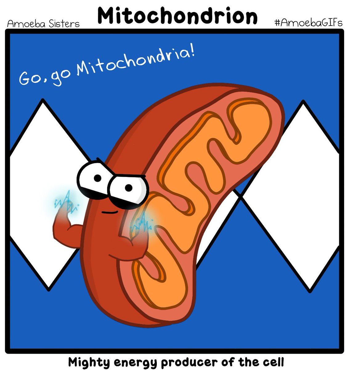 Mightypowercell's tweet photo. 💪🏠 Go mitochondria! #cellwars #HPSDAwesome  https://t.co/mMwyvEnSD4 https://t.co/OctnqdZ1XW