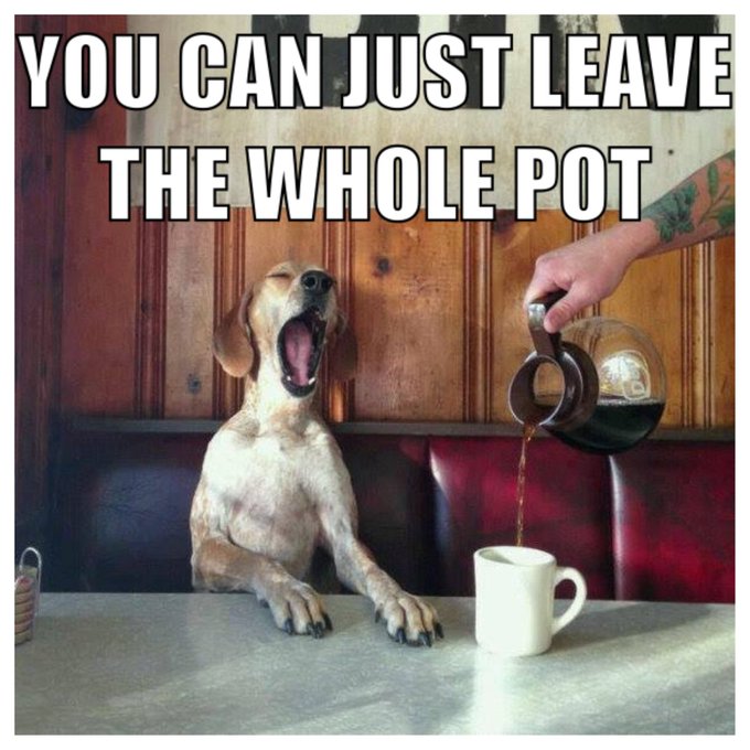 #goodmorning #wakeup #smellthecoffee #coffee #yawn #dog #LOL https://t.co/iltXNPLYLB