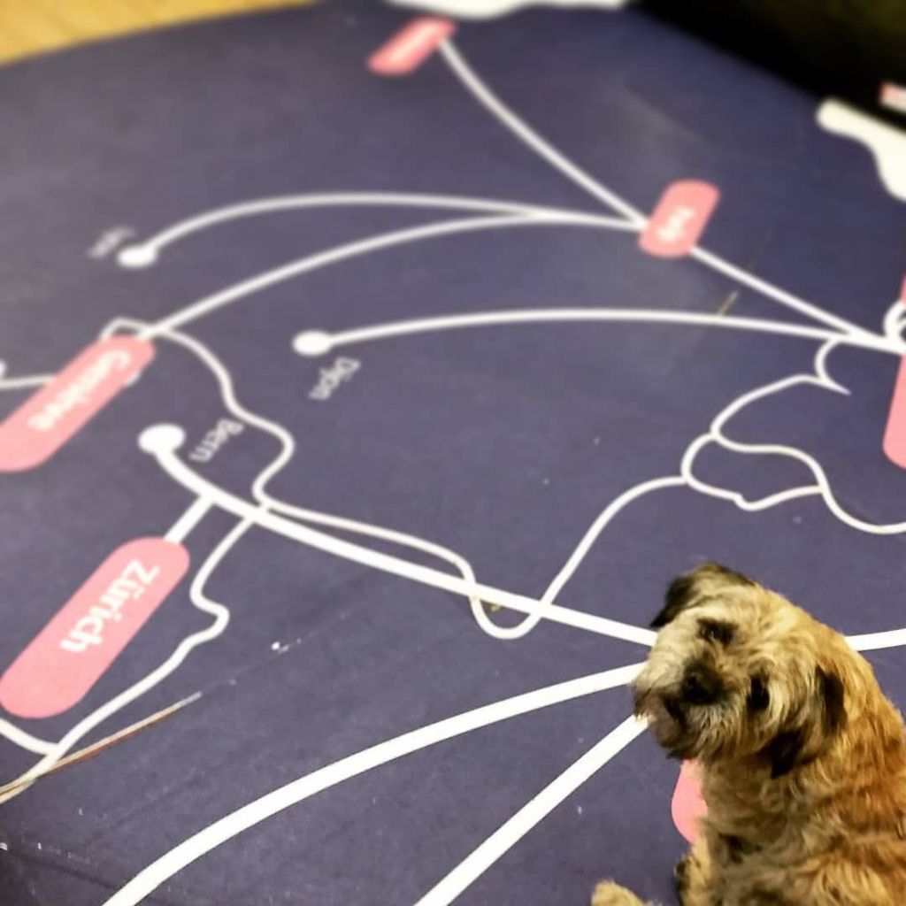 QueerlyNomadic's tweet photo. Our little buddy has become quite familiar with the different train routes one can take across Europe! It's a great alternative to flying, much more comfortable and pet-friendly, and there's nothing quite like a little train picnic 🚄 while zooming th… https://t.co/Gk2MfLbShC https://t.co/lA23KJDK0A