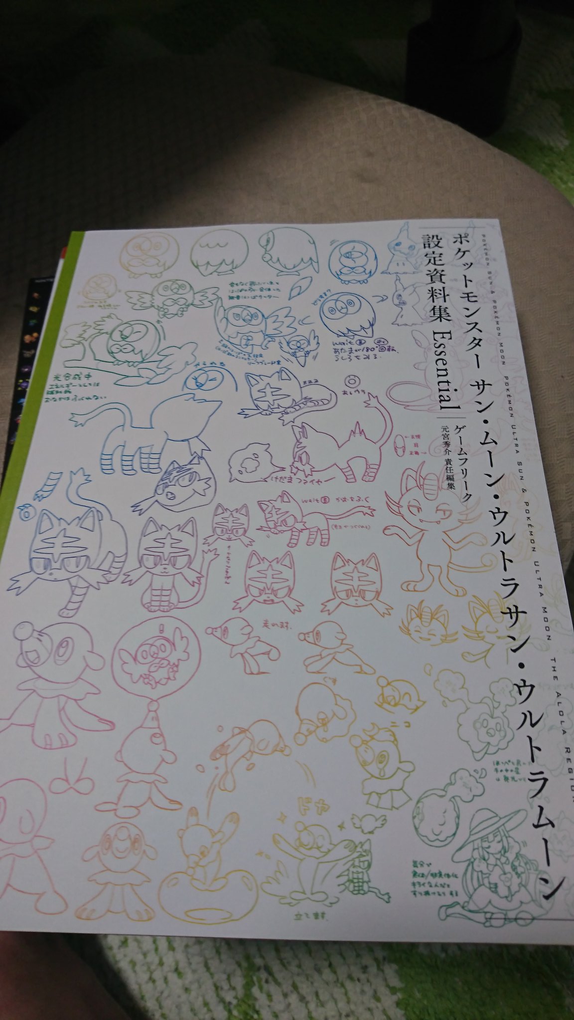 Twitter এ 賢 別名 ハルビエッタ ヤ バ い 全国図鑑の永久保存版に同梱されてる ポケットモンスター サン ムーン ウルトラサン ウルトラムーン 設定資料集 Essential がヤバい位に素晴らし過ぎる もうこれ一生眺めてられるわ ポケモン