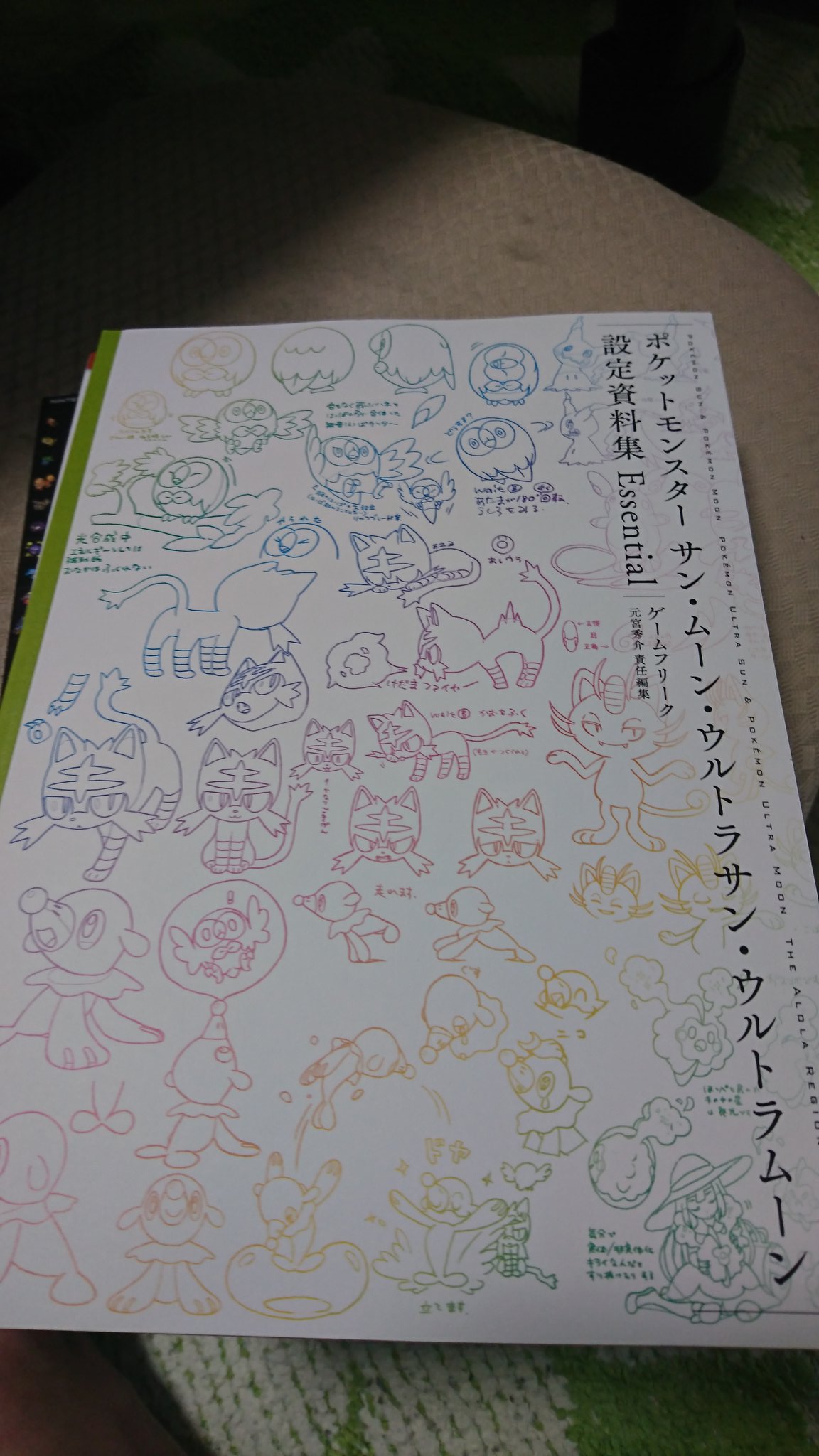 賢 別名 ハルビエッタ ヤ バ い 全国図鑑の永久保存版に同梱されてる ポケットモンスター サン ムーン ウルトラサン ウルトラムーン 設定資料集 Essential がヤバい位に素晴らし過ぎる もうこれ一生眺めてられるわ ポケモン