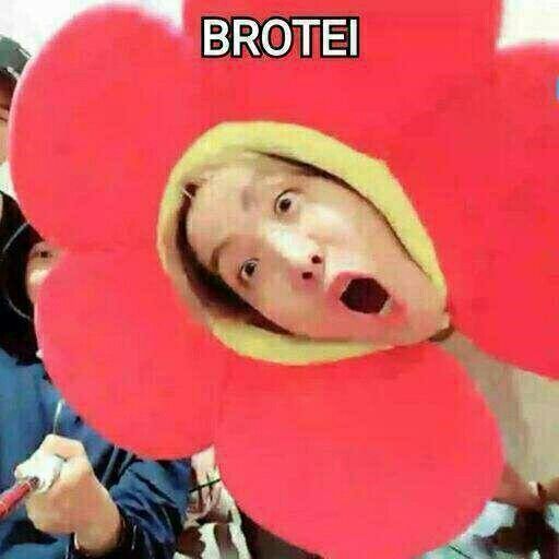 _rosalinne's tweet photo. Como sair desse mundo do kpop????! #kpop #viciei #army #blink #starlight #vip #ELF #SHAWOL #ReVeluv #Once #HiddenCard https://t.co/0MNlN9AVCQ