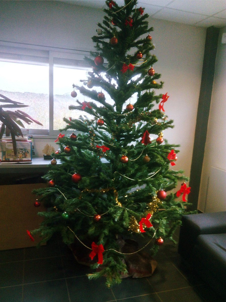 BMServices_48's tweet photo. C'est bientôt #Noel ! https://t.co/qmudsBqYVb