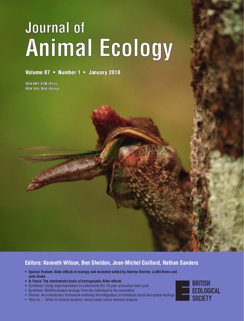 AnimalEcology's tweet photo. Our new issue is now out including a Special Feature on #AlleeEffects, plus papers on #SnowshoeHares, #Badgers, #ClimateEcology #CommunityEcology and much more
https://t.co/4rmanD3orX https://t.co/wIVGlBGXPi
