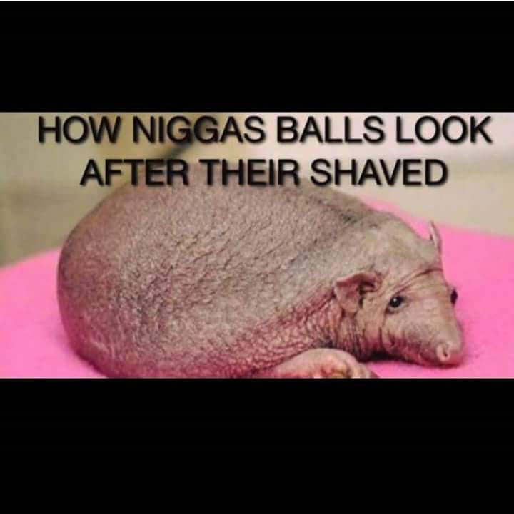 qbreezy1's tweet photo. @nicole370 @danawink @40ozforte @Byg_Tymer @TheBESTthatdidi @starrisking @lonj91 @waheedstheWorst @UNLTD76 @KIENDYGURL @KoolMFNJ Lol..what say u ladies? ๐ #WitDaShits #DozeNuts https://t.co/mswmziCKl3