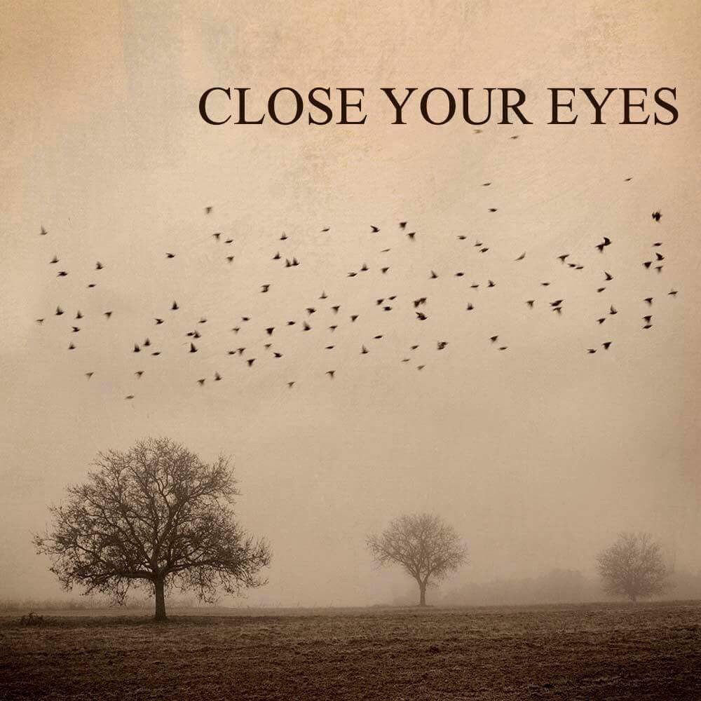 DiannasEye's tweet photo. https://t.co/sIXBJl8T4s please RT & consider donating to my feature film. It's about 4 strangers who take refuge from a terrifying bird attack in a remote cabin in the woods. Starring @ChristinaSWren @chloebale @Sasha_Bujnak #rodrigotactaquin who is an #emmywinner #womandirector https://t.co/OF4iTFtxMT