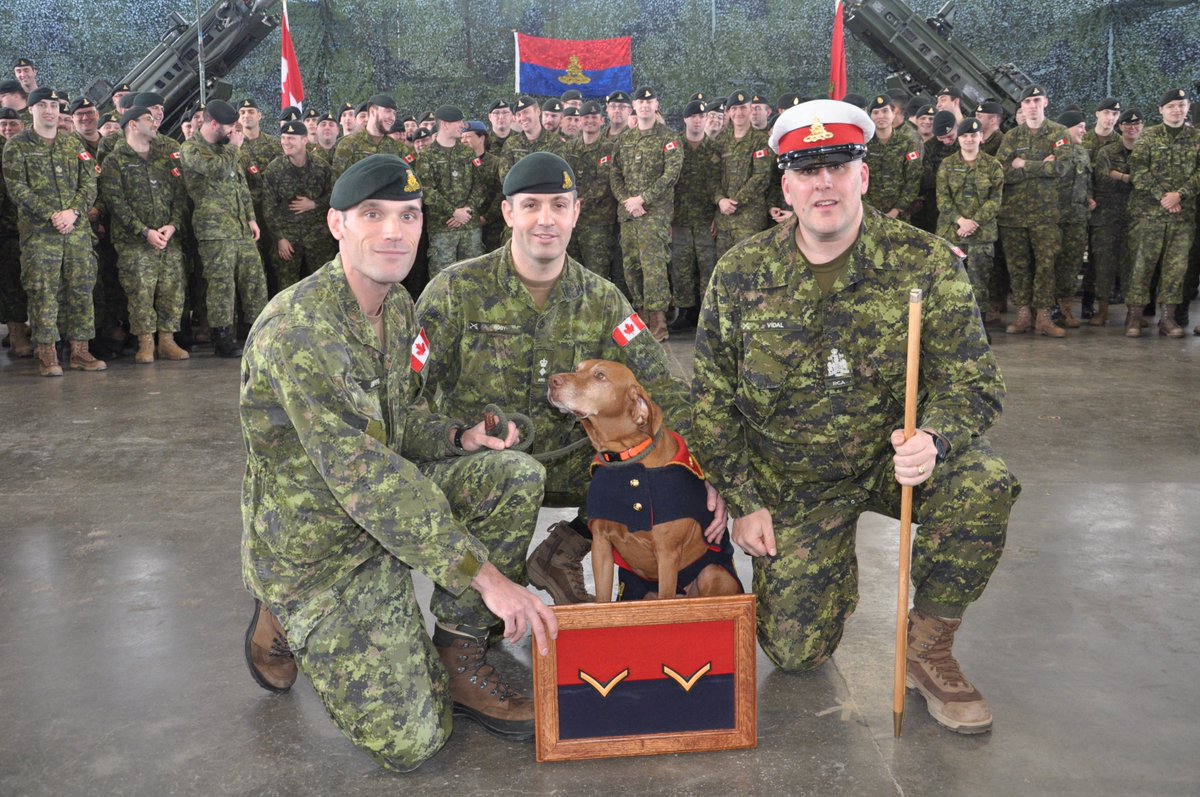 CanadianArmy tweet picture