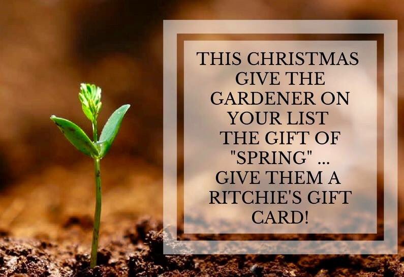 Give the gift of spring this Holiday season - give a Ritchie gift card!  Available at all locations and in any amount!