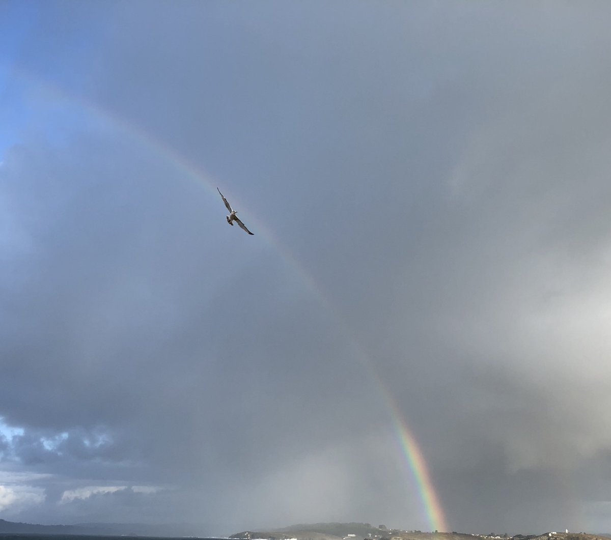 NecoPadel's tweet photo. 🌈Happy Friday🌊  #walking #rainbow #birds #wind #december #goodvibes #iphonexphotography #haveaniceweekend https://t.co/KekAbJF5bc