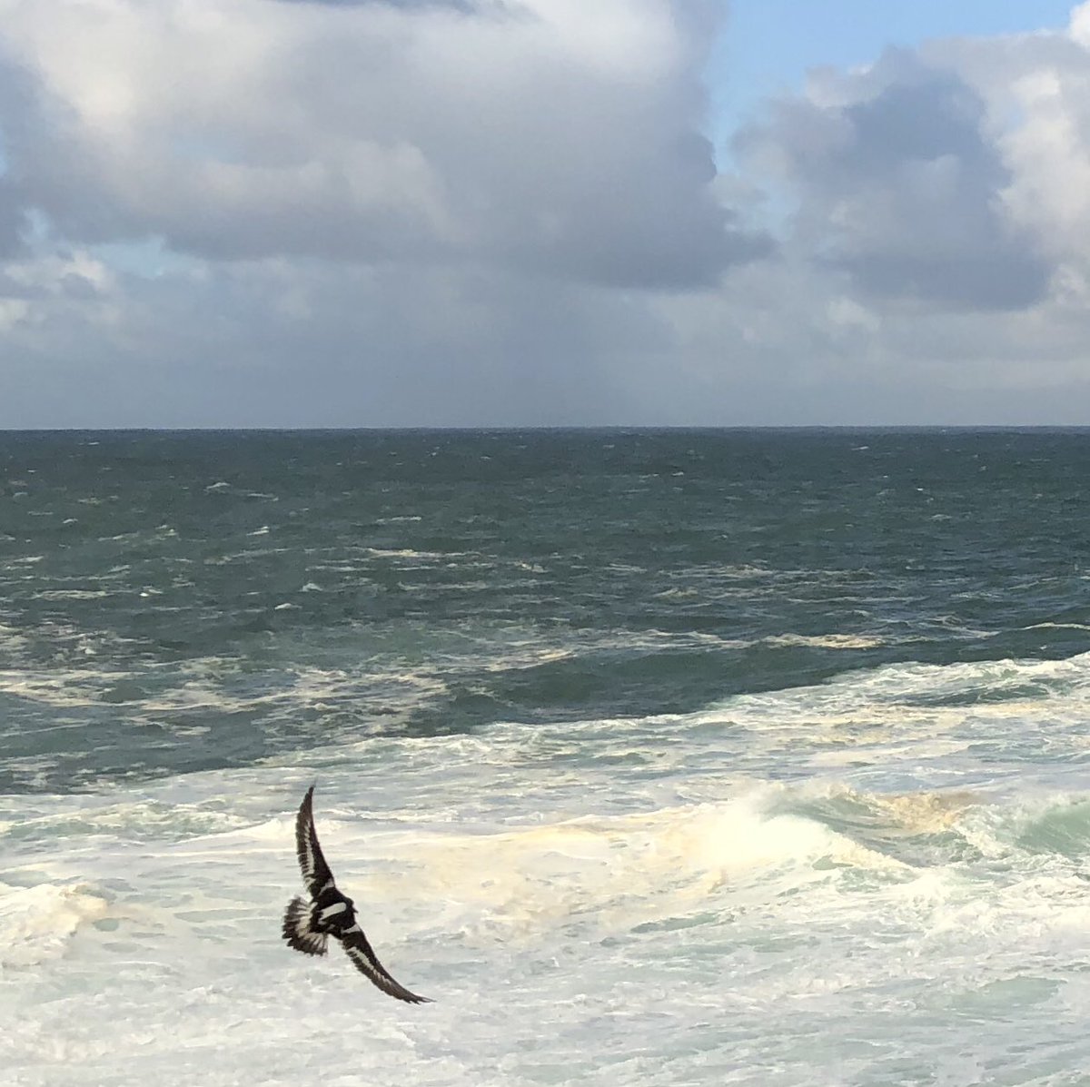 NecoPadel's tweet photo. 🌈Happy Friday🌊  #walking #rainbow #birds #wind #december #goodvibes #iphonexphotography #haveaniceweekend https://t.co/KekAbJF5bc