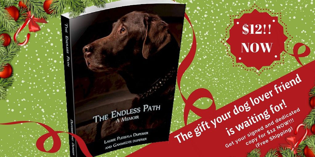 lduperier's tweet photo. I will be waiting for you at @K9Aquatic tomorrow Saturday, Dec 16th 1 p.m. - 4 p.m. to pick up signed copies of #TheEndlessPath for your friends, share some #Christmas Cheer, and check out their facility. The #book will be available at $12 free shipping #doglovers #dogs #dogbook https://t.co/Mrmam1FUEF