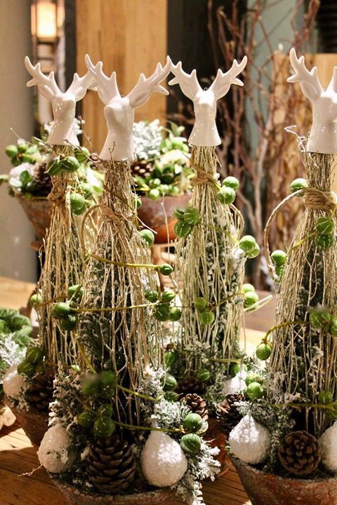 Morgen gaan we weer, onder het gezellig shoppen, genieten van een lekkere versnaperingen en een borrel van Marcus Antonius!

Zondag zijn wij geopend van 12.00 u tot 17.00 u. 
U bent van harte welkom!

#kerst #gezelligheid #deagave #sfeer #bloemen