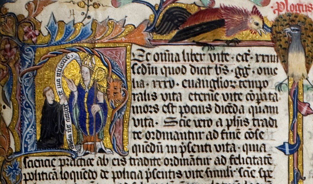 durhamcathedral's tweet photo. Did you know that Cuthbert is believed to have written one of the first bird protection laws in Britain when he was Bishop? It was to protect wild birds' eggs from poachers on Lindisfarne in the 7th century. #FactFriday #OpenTreasure @Natures_Voice https://t.co/iz3m8WfvA4
