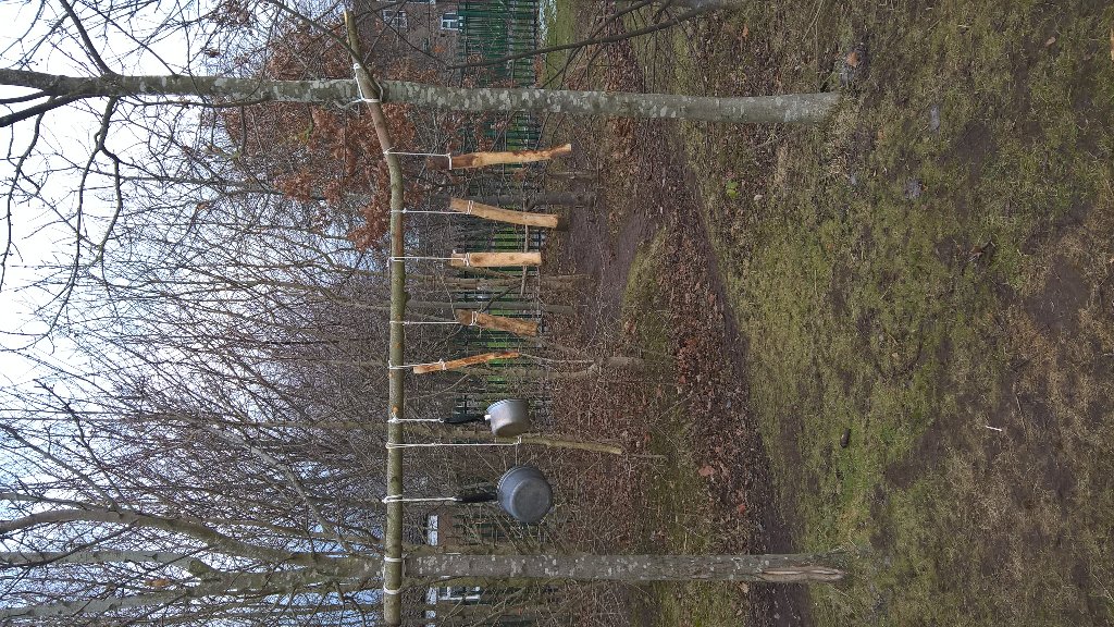 forestunitysch's tweet photo. New log circle and musical wind chimes for Windy Arbor Forest School area. https://t.co/PGXZnTNHiN