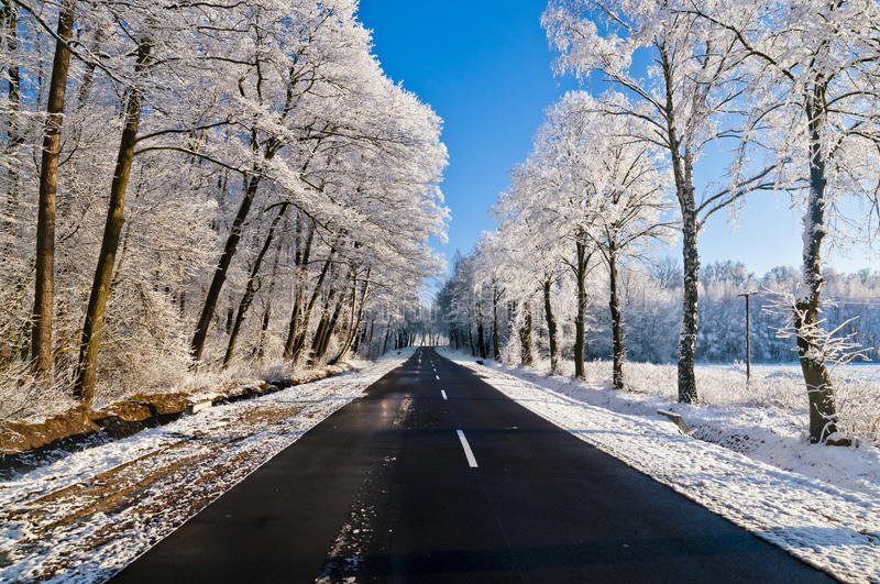 AutoGlassEX_CA's tweet photo. It’s official, the holiday season has arrived. Besides the traditional Christmas shopping, it’s also time to start prepping for the annual holiday road trip! https://t.co/g8mCM8sItm #AutoGlassExpress #Auburn #Auto https://t.co/EHTkRxz9hv