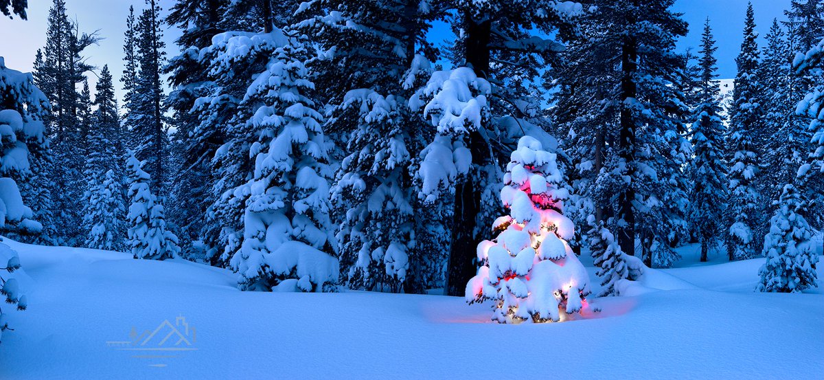 Happy Holidays! #holidayseason <a href="/MammothMountain/">MammothMountain</a> #MammothLakes #LakeMary