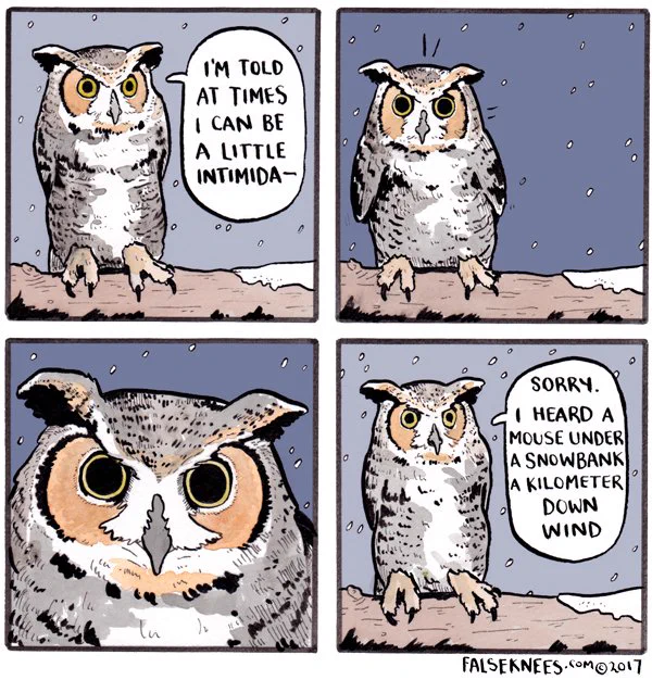 Sorry, it's just really distracting
https://t.co/wYSxjlN3DD #falseknees #comic #webcomic #greathornedowl 