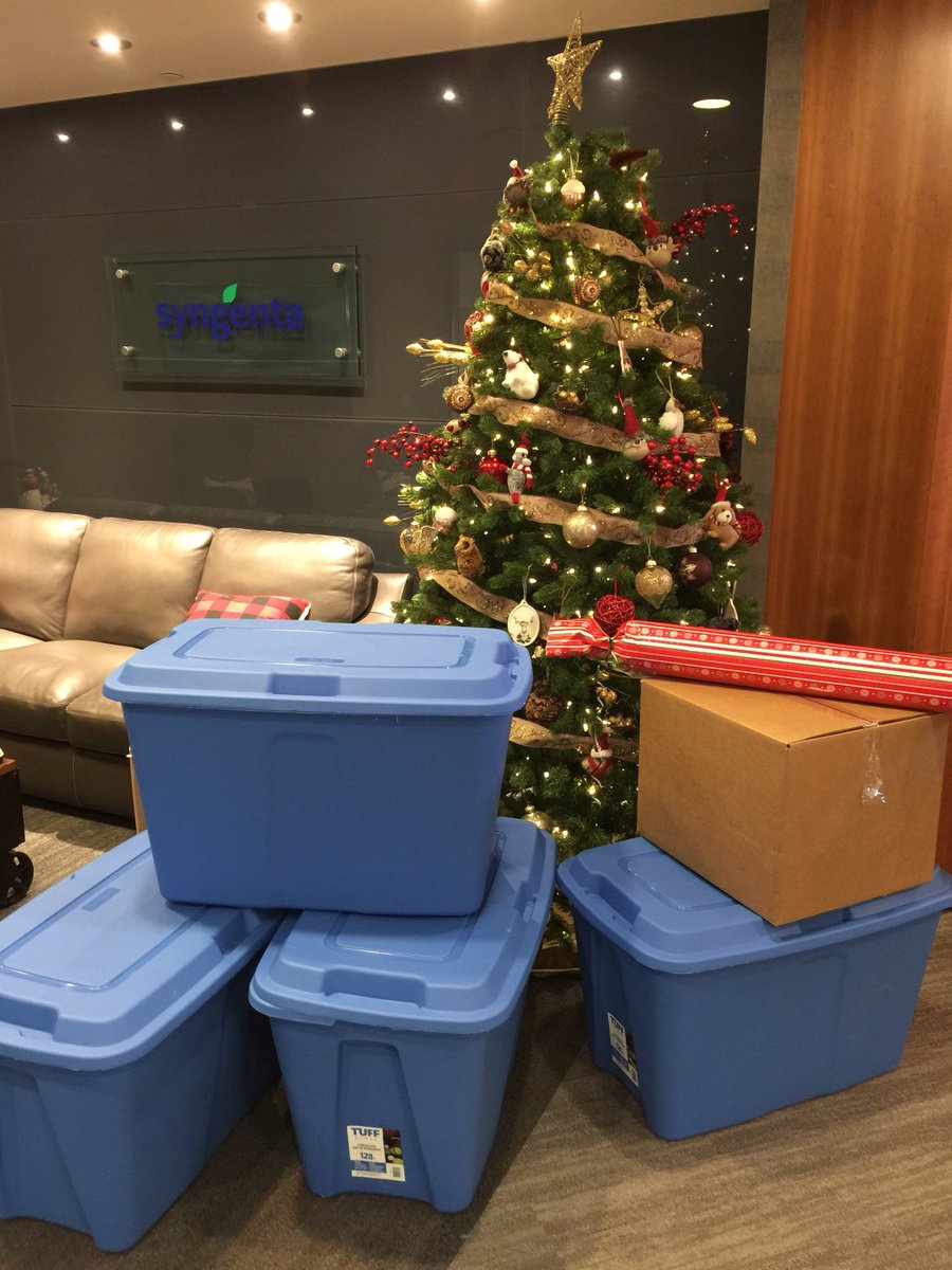 syngentacanada's tweet photo. Our #yyc office getting in to the holiday spirit by wrapping gifts and preparing them for our adopted family! Happy to continue our collaboration with the Heartland Agency Evenstart Foundation @GiveAnEvenStart https://t.co/E0caiYATZy