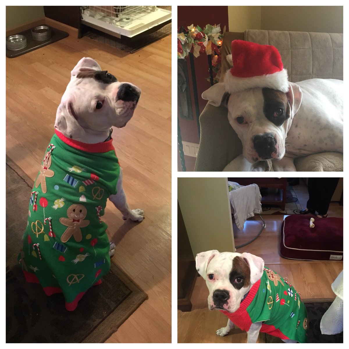 Happy Holidays #IHXHolidayFun #IHXexecutioNERs