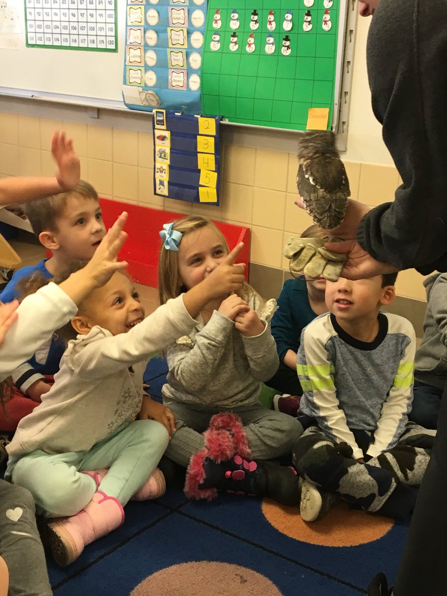bxvsciencegirl's tweet photo. Birds visit Bronxville! 🦉🦉🦉🐦🐦🐦
#staycurious
#handsonlearning
#kindergartenscience https://t.co/YHOKrKZjhD