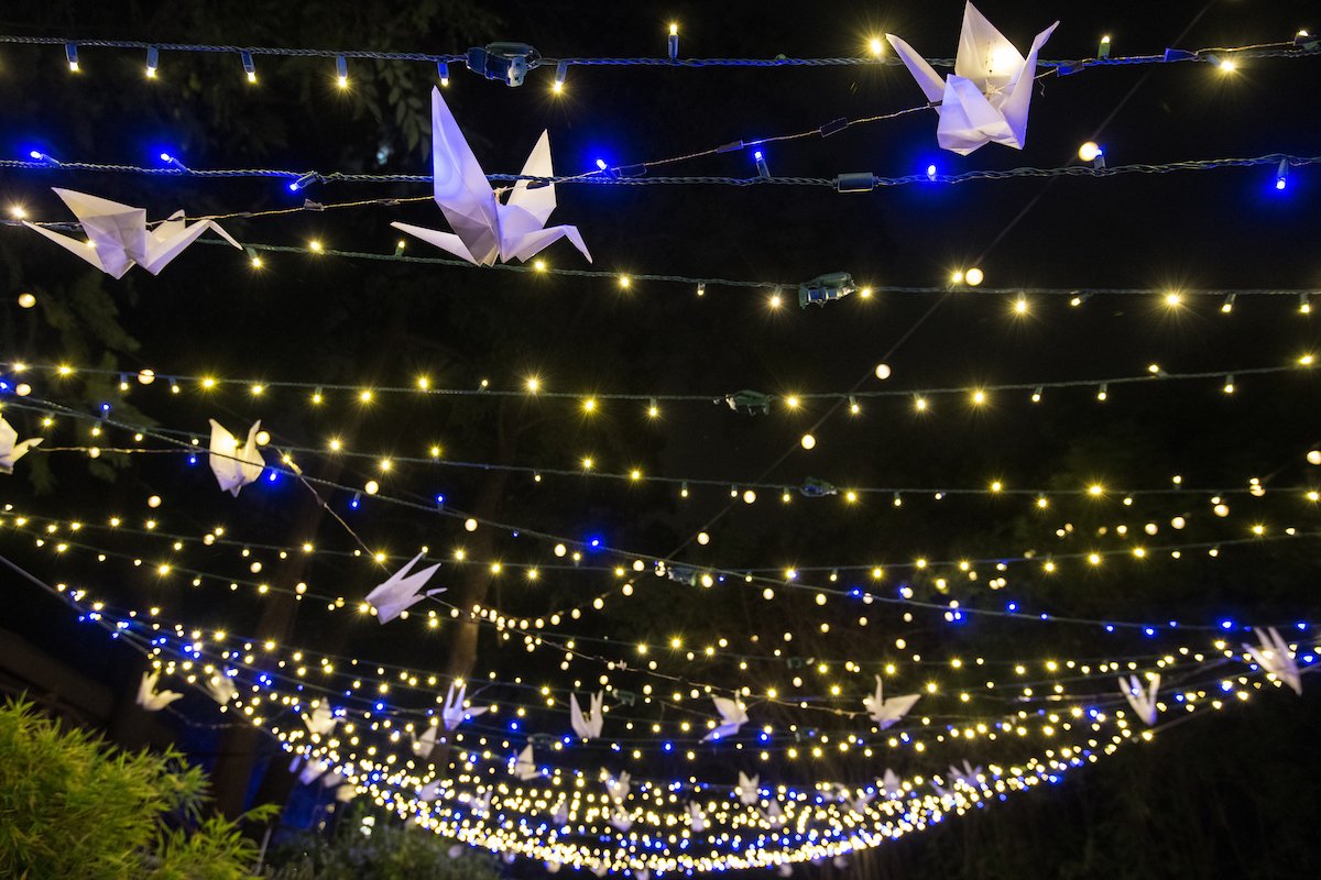LAZoo's tweet photo. For #MuseumGiftSwap, we hope @jamuseum will enjoy this ceiling of illuminated origami cranes, which dozens of #LAZoo volunteers folded for #LAZooLights. https://t.co/HKBhbT84SP