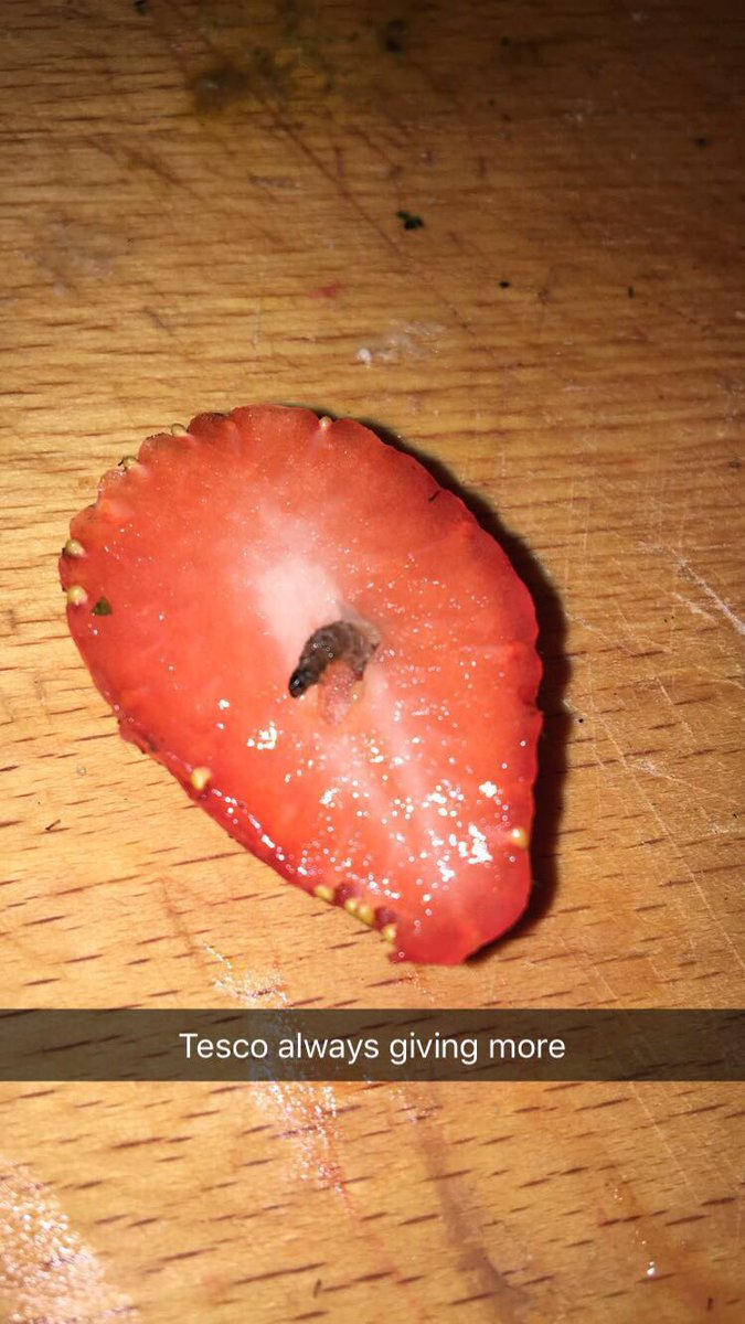 elligarnett's tweet photo. @Tesco I know I need more protein in my diet but seriously.... 😷😷😷🐛🐛🐛 https://t.co/pjkTeIa31j
