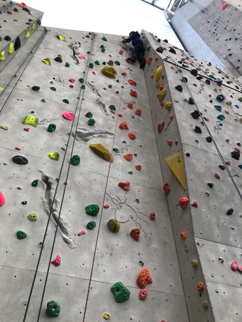 EDC Outdoor ED tweet media