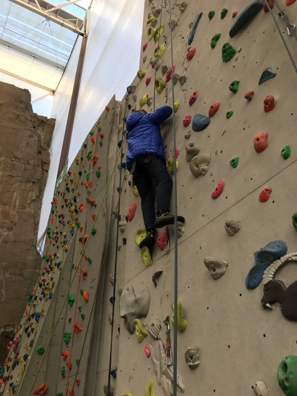 EDC Outdoor ED tweet media