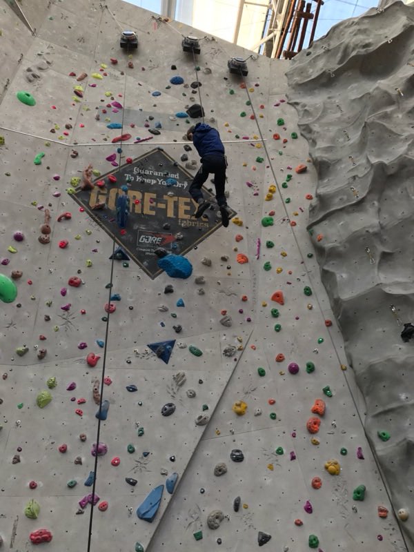 EDC Outdoor ED tweet media