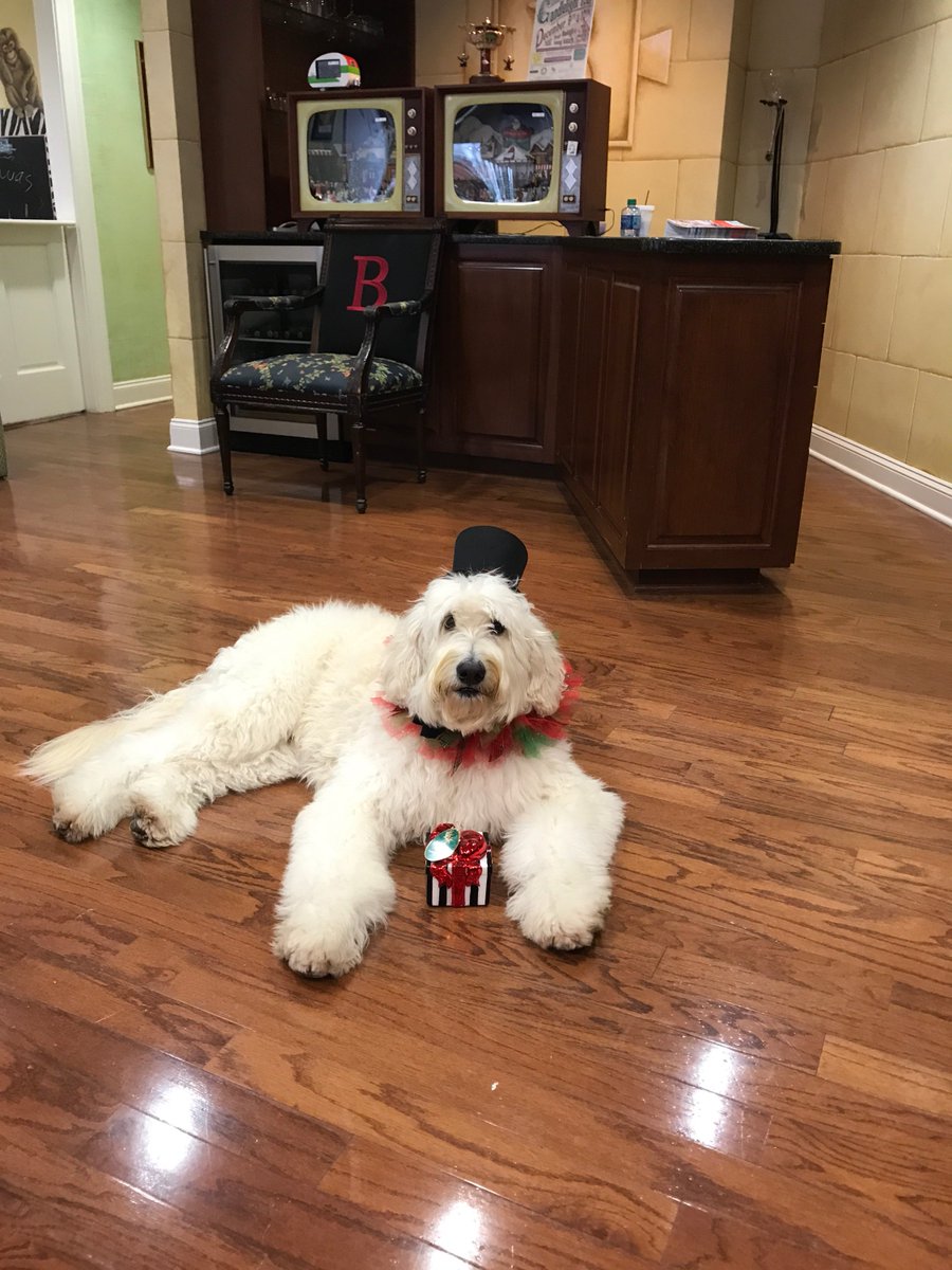 Fox & Bailey Watch Shop tweet media