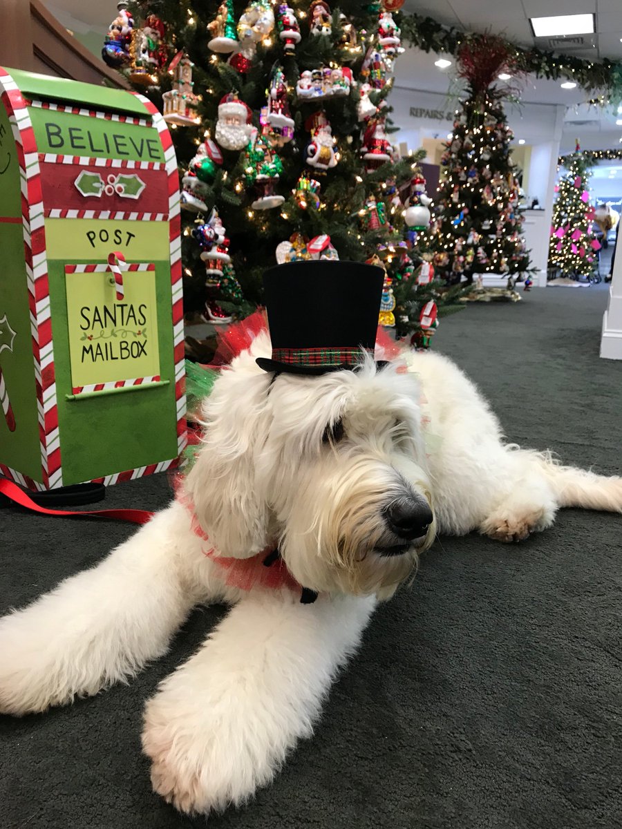 Fox & Bailey Watch Shop tweet media