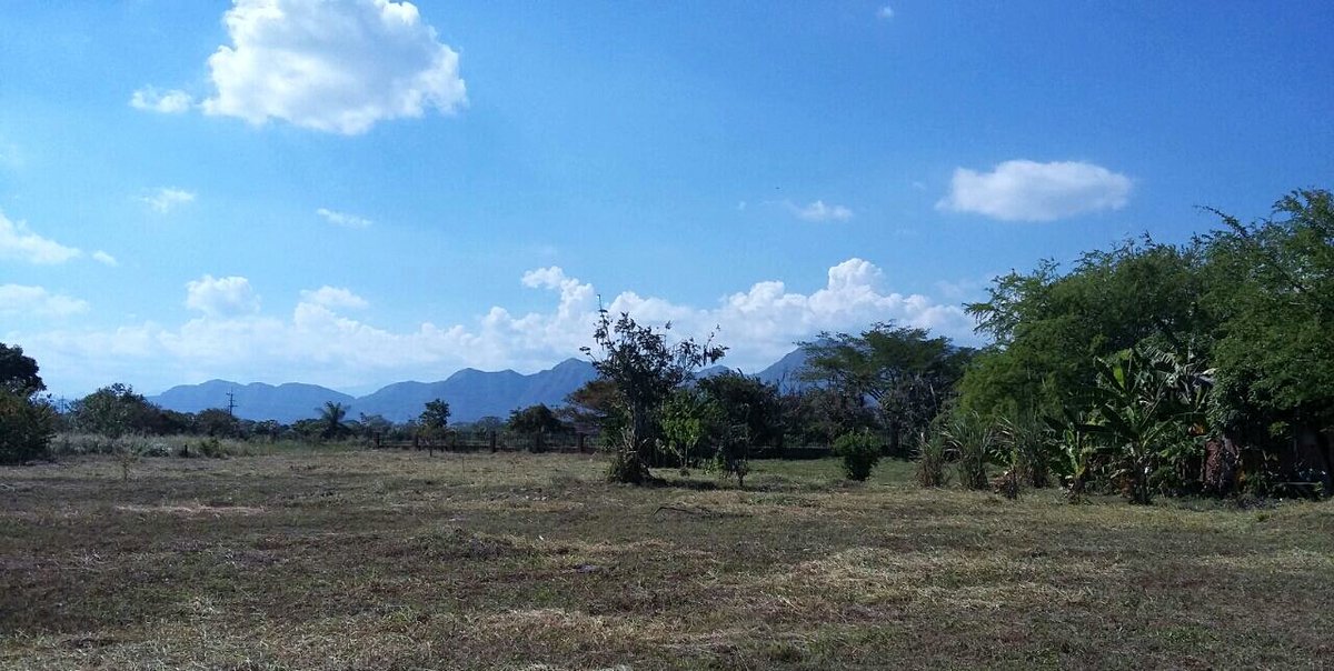 CeibaEice's tweet photo. #CEIBAOFICIAL
Durante toda la semana se adelanto de parte de la subgerencia de operaciones y personal de CEIBA, labores de embellecimiento en el Parque Cementerio de la ciudad de Yopal.
Siempre mejorando, para prestar un mejor servicio a propios y visitantes.
#TrabajandoFuerte https://t.co/KDoo38sYeM