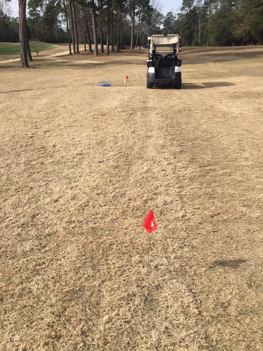 Irrig install 2 weeks old...1st pic fwy pipe pulled...2nd is mainline with sod lifted...great job <a href="/GT_IRRIGATION/">GT IRRIGATION</a> <a href="/smithturf/">Smith Turf & Irrigation</a> <a href="/TheToroCompany/">Toro</a>