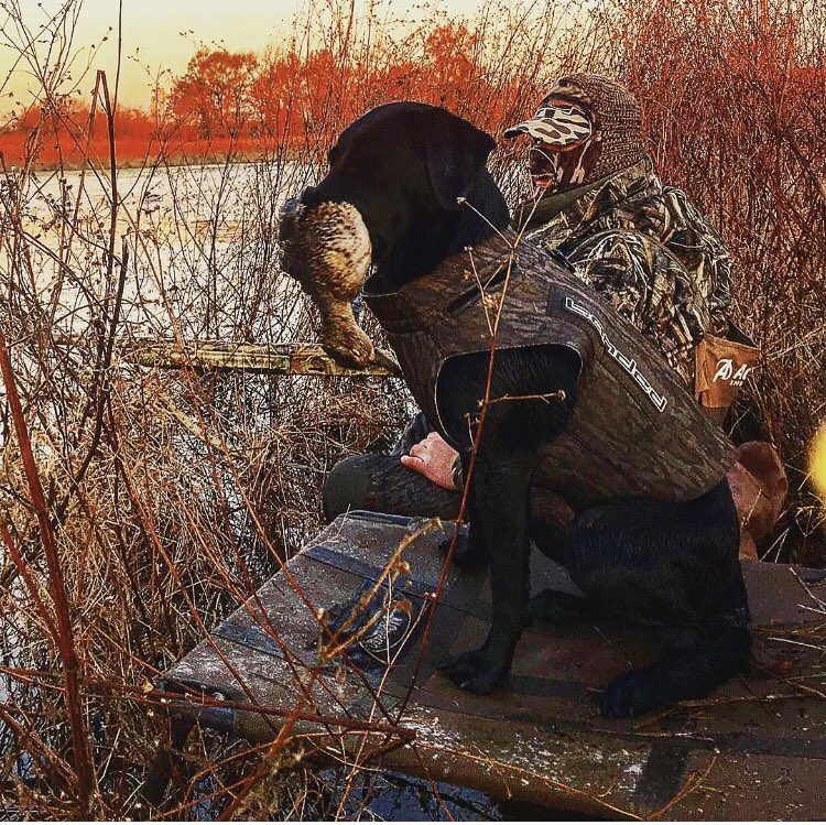 FyoSouth's tweet photo. Just a man and his dog; hunting ducks and taking killer pictures! #repost #gulfsouthoutdoors #findyouroutdoors #dog #duckhunting #hunting #photography #camo #mansbestfriend https://t.co/7xzstF6xBY