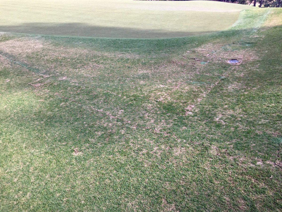 10 green install by <a href="/GT_IRRIGATION/">GT IRRIGATION</a> at Palmetto Golf Club..... <a href="/PalmettoGCSA/">PalmettoGCSA</a> <a href="/smithturf/">Smith Turf & Irrigation</a> <a href="/TheToroCompany/">Toro</a>