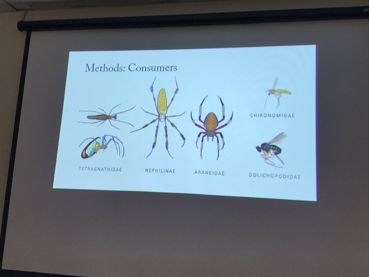 DrEcoMaz's tweet photo. Felicidades/congrats to @martyzapa! Great MSc thesis prez on #aquatic-terrestrial #subsidies in #estuaries! @RookeryBay @OSUWetlands @OSUEnvironment https://t.co/Marm8pubnG