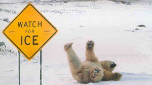 Bicester parkrun for tomorrow, 16/12/17 is CANCELLED
the ice has not melted and due to weather forecast being around freezing, for safety reasons Bicester is cancelled