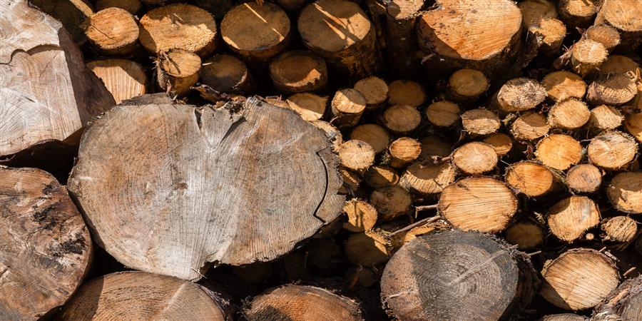 Land Energy tweet media