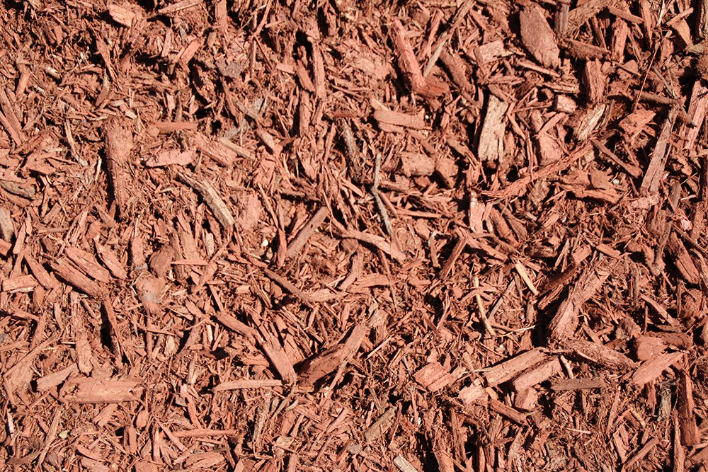 Rochester Topsoil tweet media