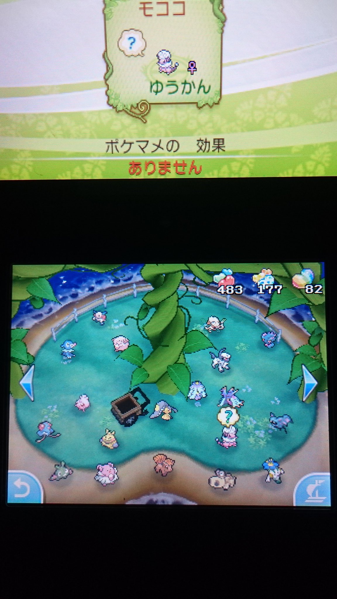 ポケマメ Twitter Search Twitter