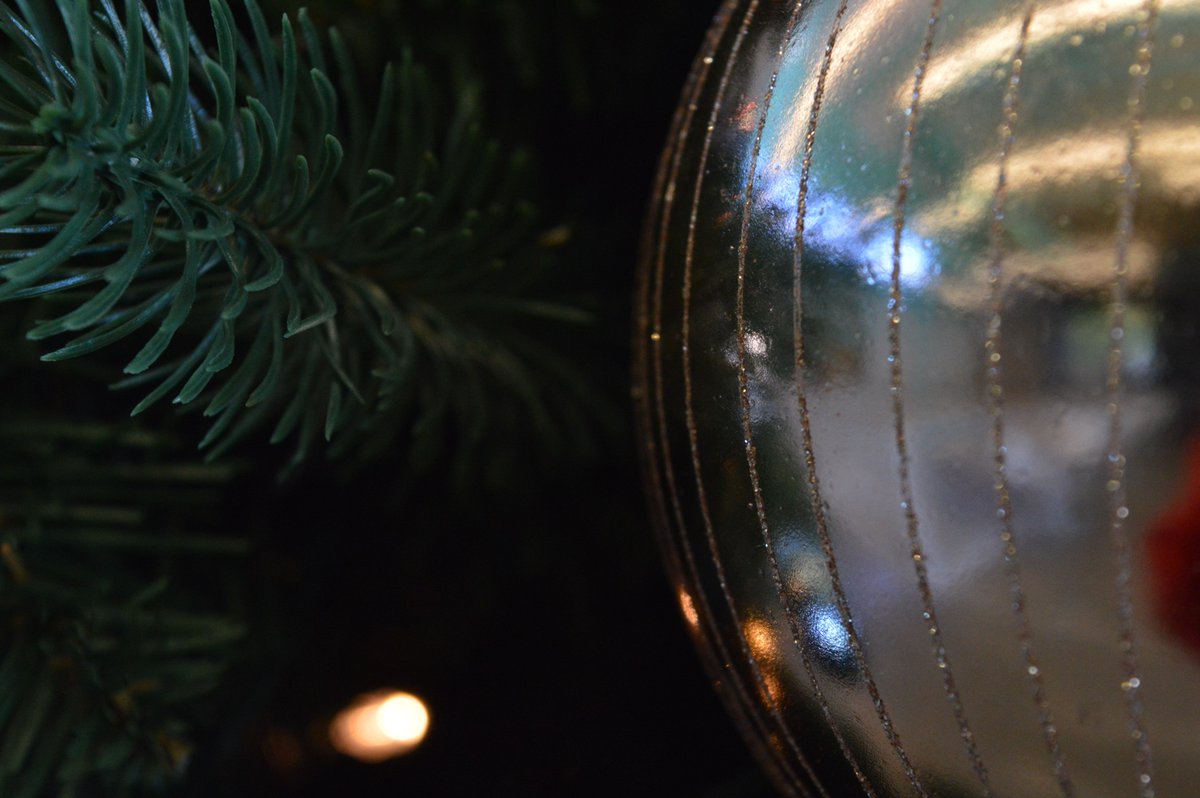 taltis19's tweet photo. It's beginning to look a lot like Christmas #ChristmasCountdown #Photography #closeup https://t.co/nAma8spCFU