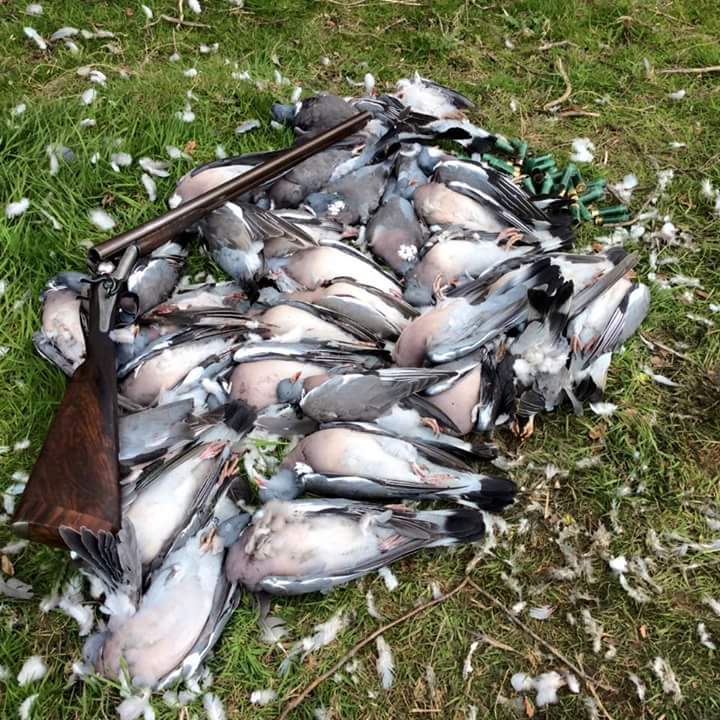 WPS__Official's tweet image. #hammergun #sxs #shooting #fieldcraft #fieldsportsmagazine #BASC #eleyhawk #enforsers #join #followforfollow #socialmedia #wps