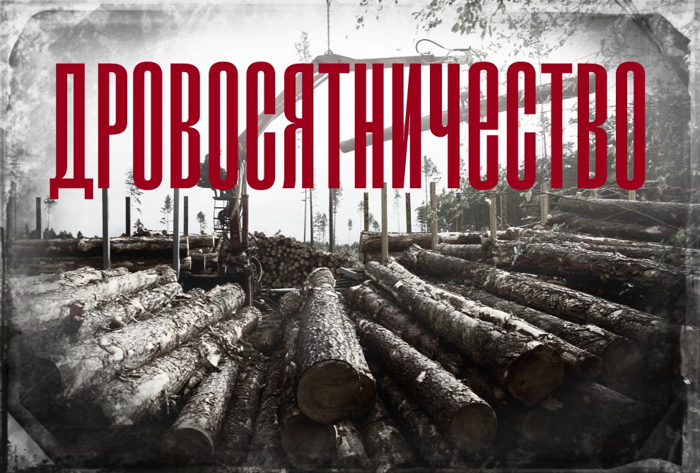 Почему Томская область не Китай
saboy.ru/93665