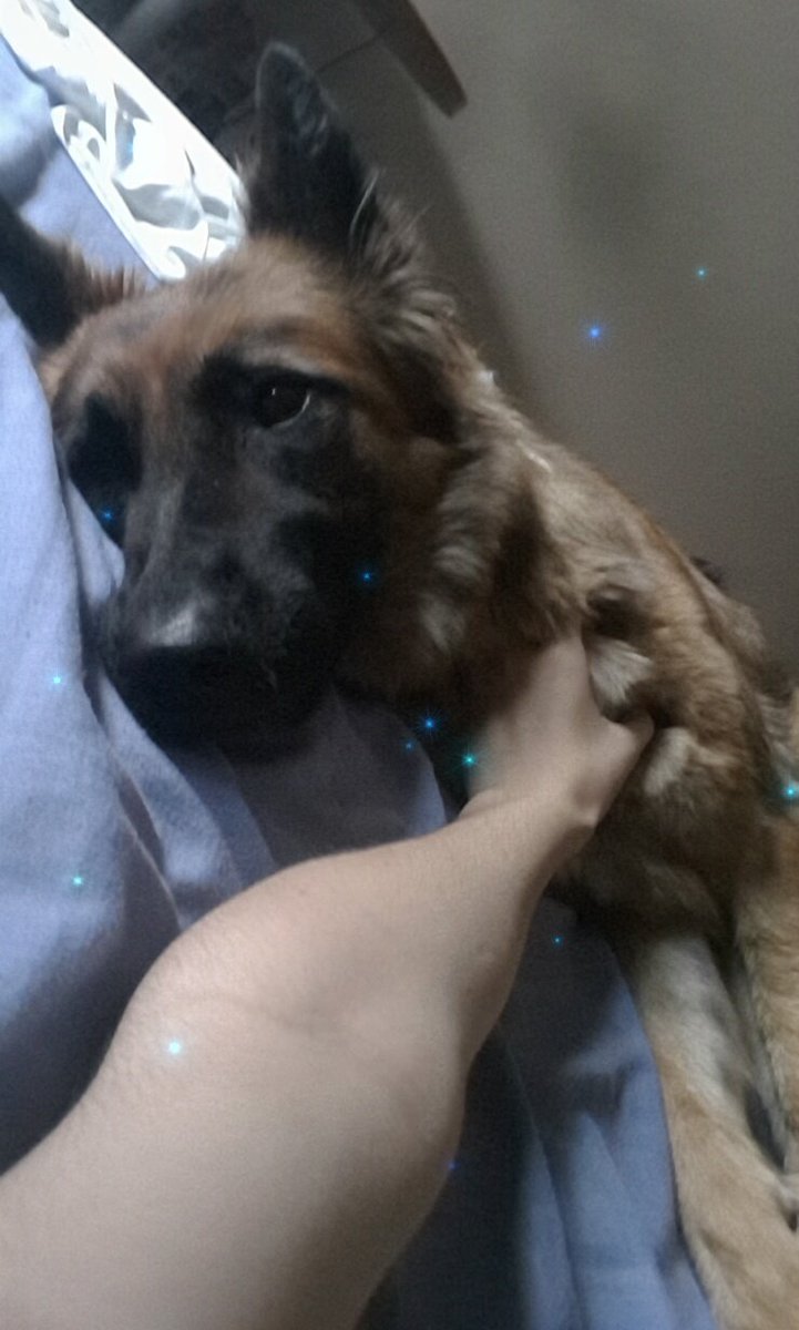 TheAsrant's tweet photo. la mas guapa ( ^ω^) https://t.co/KGEuKWr2vB