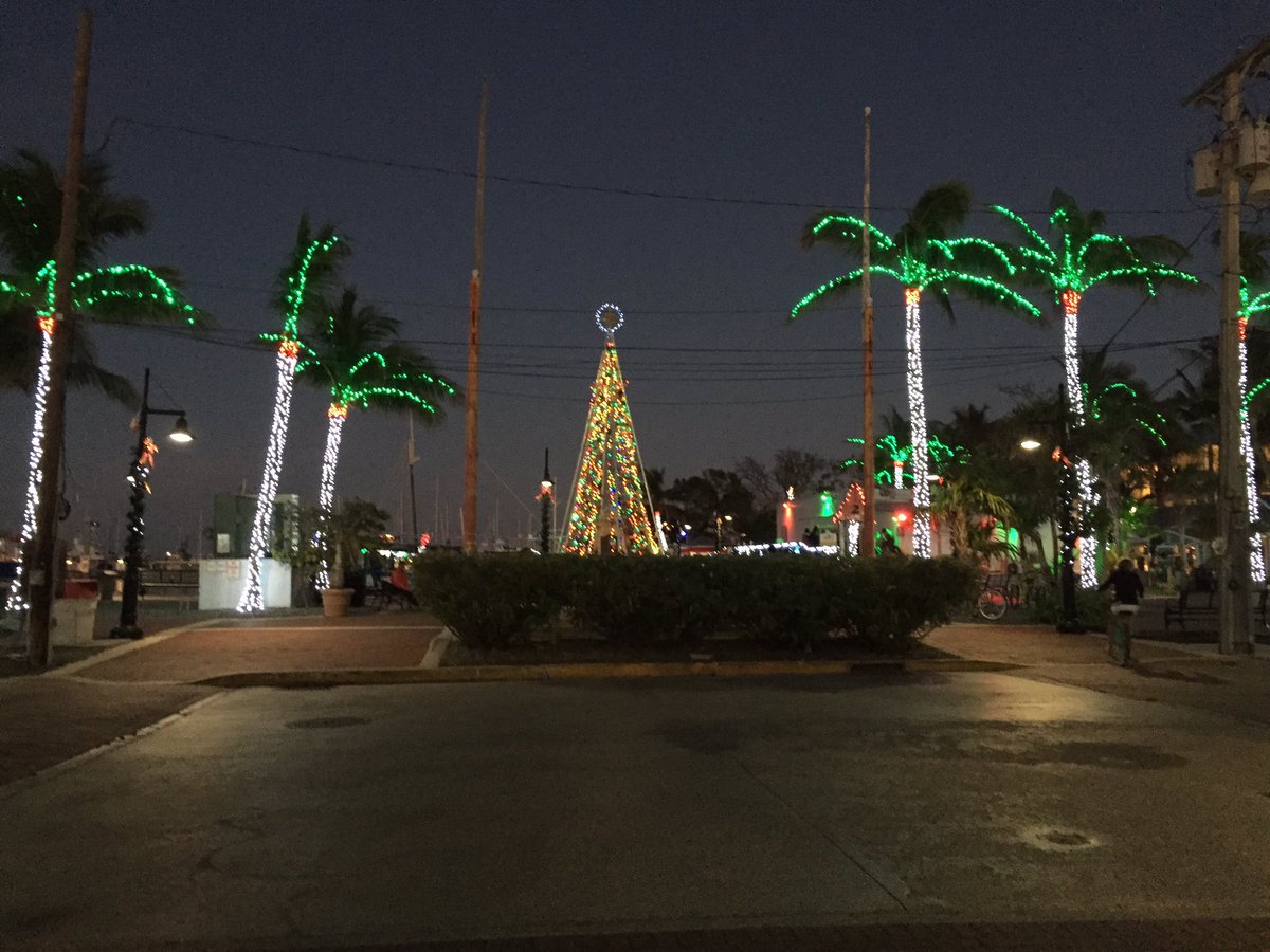 colettechimenti's tweet photo. Christmas in Key West! #FutureSnowBird https://t.co/cjFp3V7ZJT