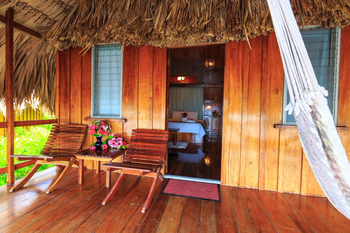 Belize_Resort's tweet photo. There's still time to bid on our #Belize #dive vacation package on the @SeaSaveTweet fundraising auction. #SeaSaveFoundation
#BidSupportDive https://t.co/2WjiyxpaN7 https://t.co/G1VnK0vgOJ