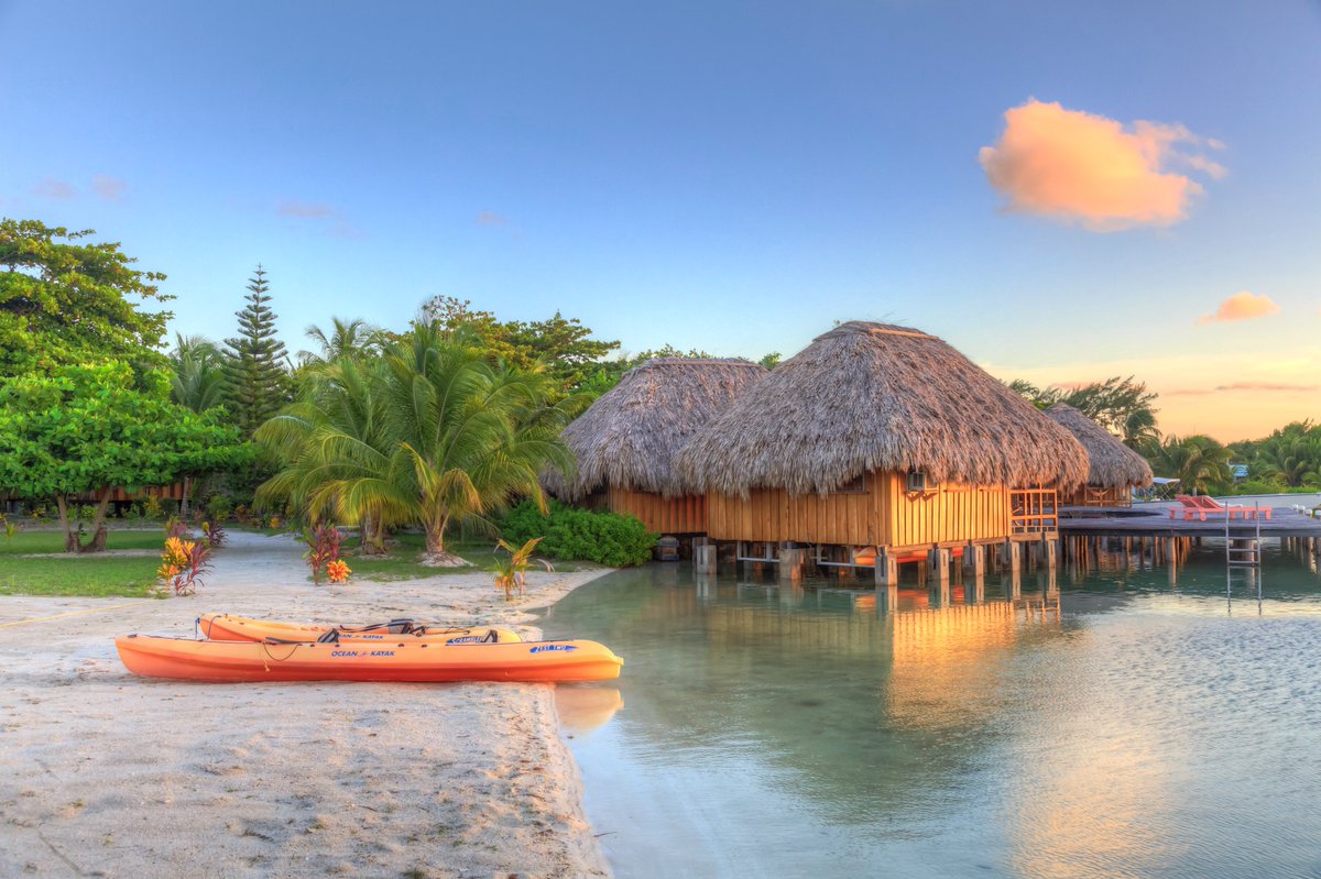 Belize_Resort's tweet photo. There's still time to bid on our #Belize #dive vacation package on the @SeaSaveTweet fundraising auction. #SeaSaveFoundation
#BidSupportDive https://t.co/2WjiyxpaN7 https://t.co/G1VnK0vgOJ
