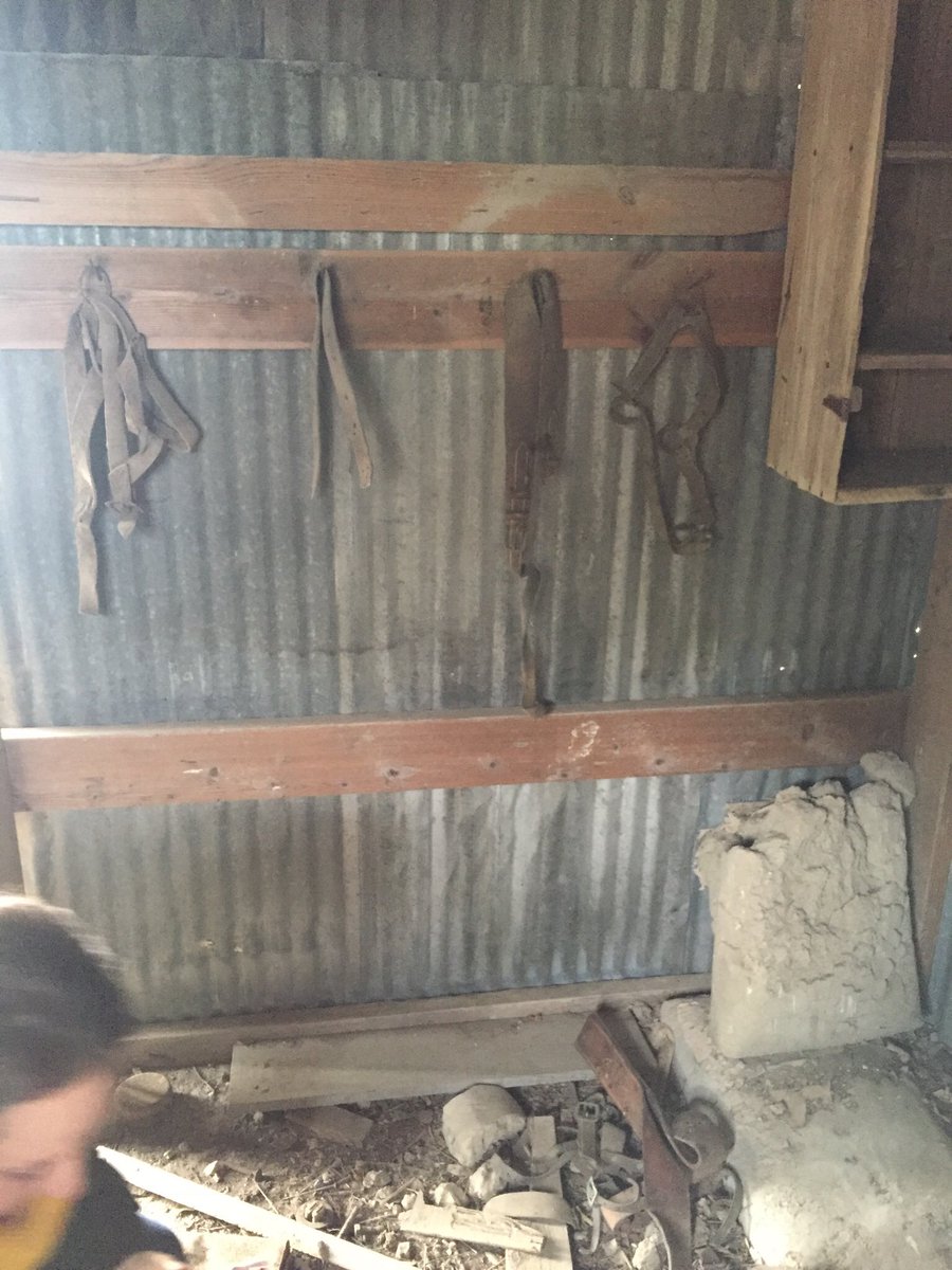 billy_navin's tweet photo. We had an amazing special private tour through currently unavailable Nathan Kallison Ranch Facilities (early 1900s) in Government Canyon.  Thank you Park Ranger Koepke we look fwd to partnering with you &amp; Govt Canyon #LivingHistory #futurefieldtrips  #LeadtheCharge @NISDKallison https://t.co/EQjXan1xzY