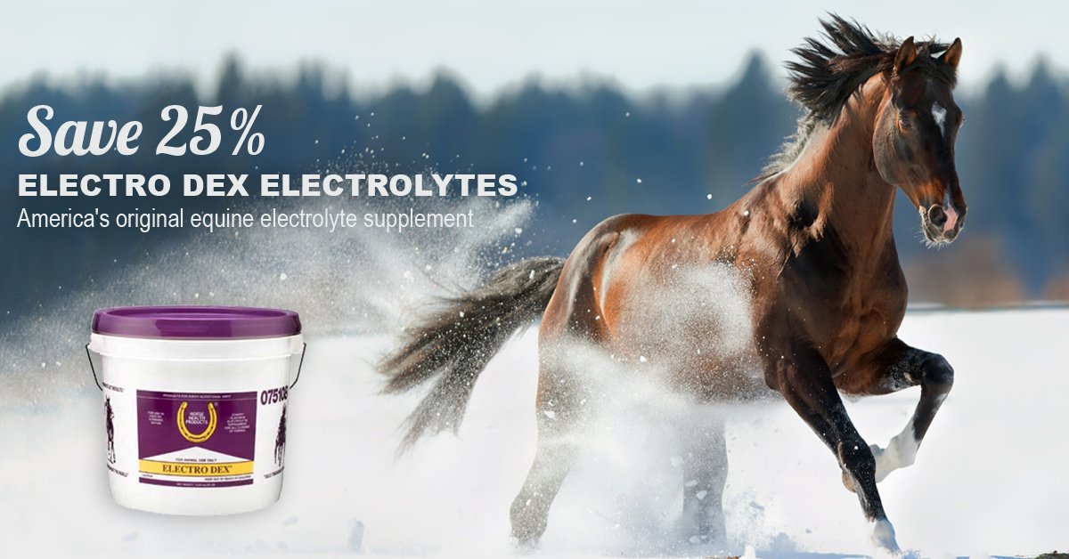 Have you ever experienced decreased hydration and energy levels after working out? Your horse experiences that feeling, too. Electro Dex Electrolytes replenishes electrolytes lost during strenuous activities, like competitions. Save 25% this month only! bit.ly/2aRpdrL
